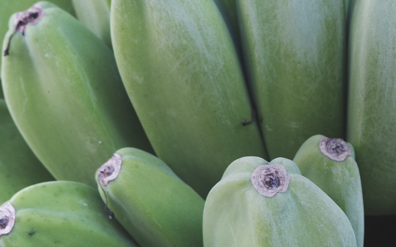 Thumbnail for the blog post about the Philippines, posted on 21 April 2017