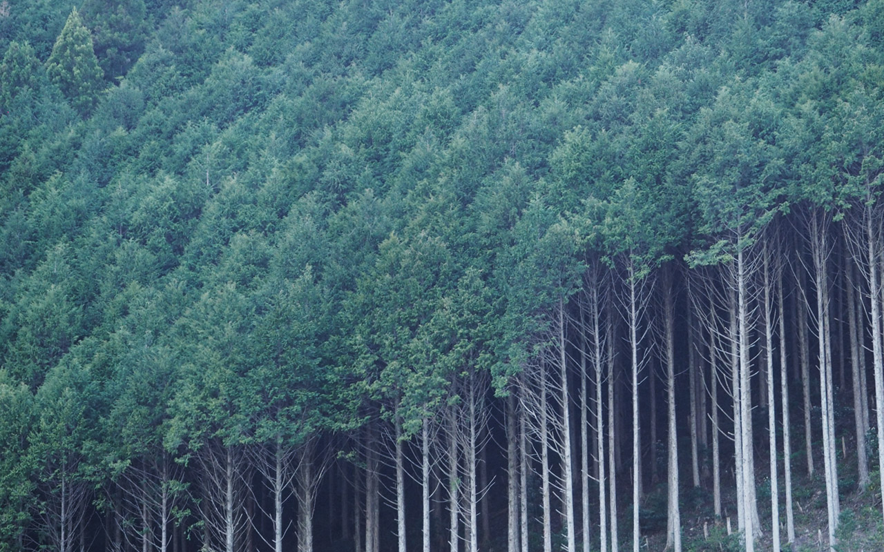 The seventh photo for the blog post on Japan posted on May 25, 2017.