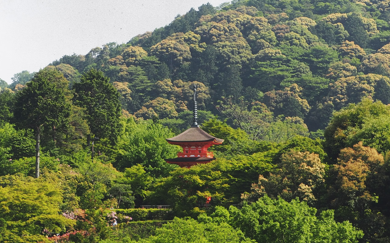 The twelveth photo for the blog post on Japan posted on May 25, 2017.